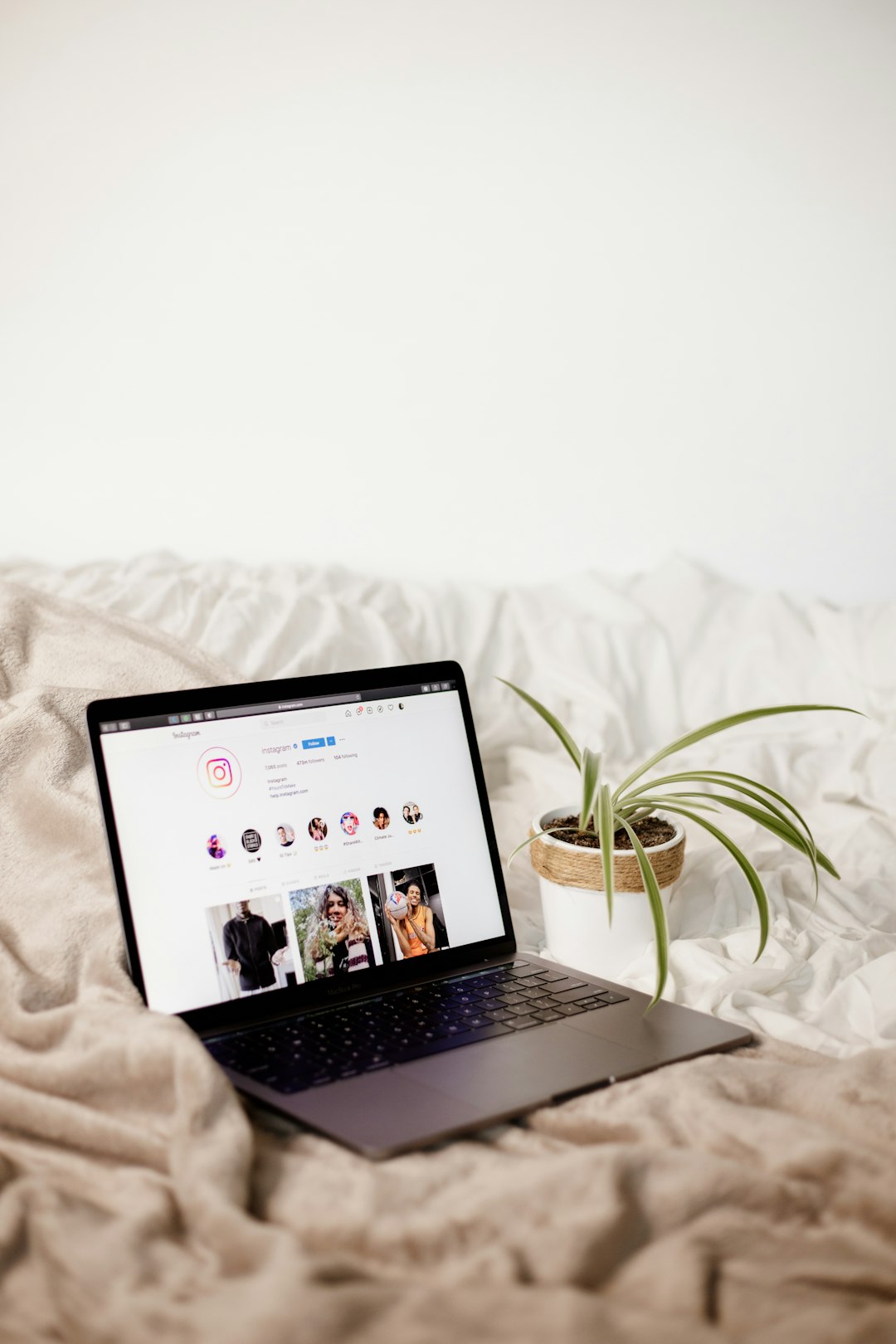 Lilacnook Cafe / Restaurant footer